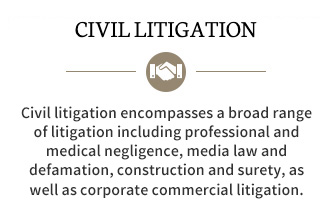 Civil LItigation